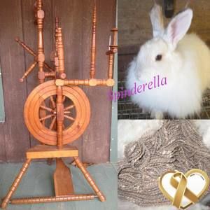 Meet your Posher, Sylvia